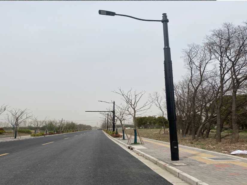 衡水上海综合杆 太阳能路灯工程